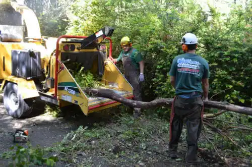 tree services Central City